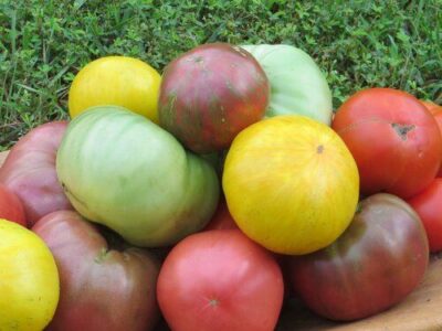 Four Ways to Preserve Tomatoes for Wintertime Meals Image